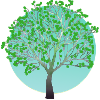 Green tree in spring
