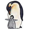 penguins