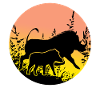 Warthog - Sunset Africa Safari