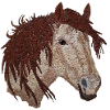 Pferd, Pferdekopf, Pferde
