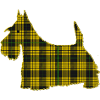 Scottish scottie
