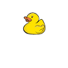 Programmierer Ente Programmieren Debugging Lustig