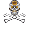 Skull Rebel 2