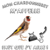 Mon chardonneret m'appelle