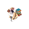 Bouledogue anglais