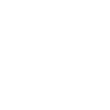 Lion graphics