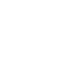 Guitare Pulse Music EKG Acoustic