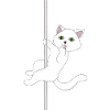 Cat pole dance