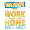 programmeur