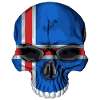 Iceland skull