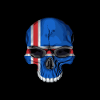 Iceland skull