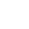Havanese Havanese