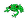 Tree Frog Green Illustration Amphibian