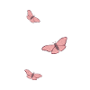 papillon papillon papillons rose