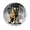 wolf