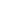 Scarabée Animal Insecte Microscope