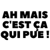 Ah mais c'est ça qui pue !