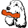 Cocker Spaniel with Dummy