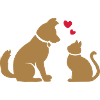 Friends Forever - Chat & Chien - Chat & Chien BFF