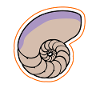 Fossils Fossil Geology