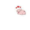 Pocket Pig Love