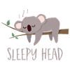 Koala Sleepy Head - Koala