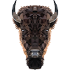 bison