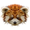 Red panda