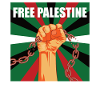 Free Palestine freedom fighters