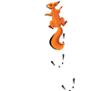 Climbing squirrel with tracks Gift