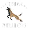 Team Malinois