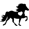 HORSE 5 HEART