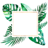 Vert tropical personnalisable