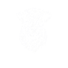 vache