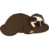 sleeping sloth