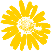 fleur