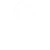 Bichon Havanais