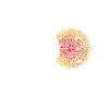 Physik Nerd
