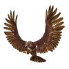 Steinadler, Adler, Greifvogel, Vogel