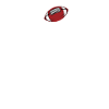 Rugby heartbeat