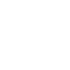Oiseaux oiseaux mouettes