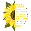 Sunflower blossom with text