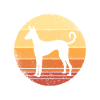 Podenco spanish hound graphic