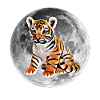 tiger