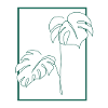 Monstera, houseplant, gift, nature, lineart
