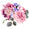 Bunch of flowers