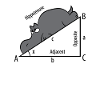 Matematiikka Pythagoras Hypothenuse Hippo Hippo