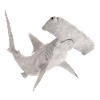Great hammerhead, shark, shark