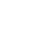 Labradoodle