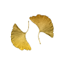 golden ginkgo leaves